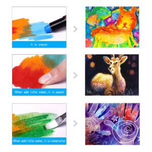 Crayolas lavables y sedosas - Cajas de varios tamaños! - Imagen 6