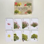 Pika-cartas-baraja-francesa-flora-nativa-uruguay-2