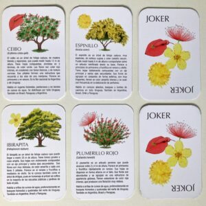 Juego de cartas Flora nativa de Uruguay - Imagen 3