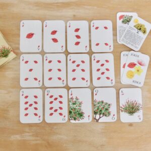 Juego de cartas Flora nativa de Uruguay - Imagen 5
