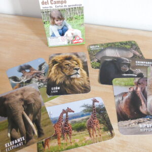 Cartas didácticas aprendeMás - Varias temáticas! - Imagen 3