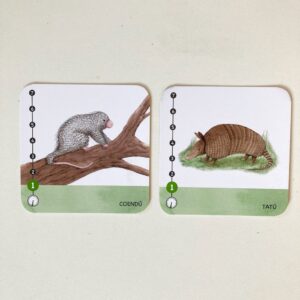 Juego de cartas Peso y Paso - Imagen 6