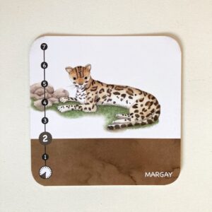 Juego de cartas Peso y Paso - Imagen 7