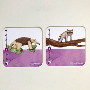 Juego de cartas Peso y Paso - Imagen 8