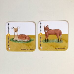 Juego de cartas Peso y Paso - Imagen 9