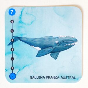 Juego de cartas Peso y Paso - Imagen 10