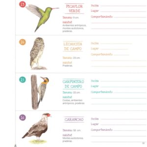 Libro con juegos y actividades - Aves del Uruguay - Imagen 4