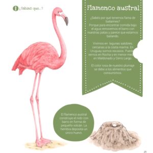 Libro con juegos y actividades - Aves del Uruguay - Imagen 5